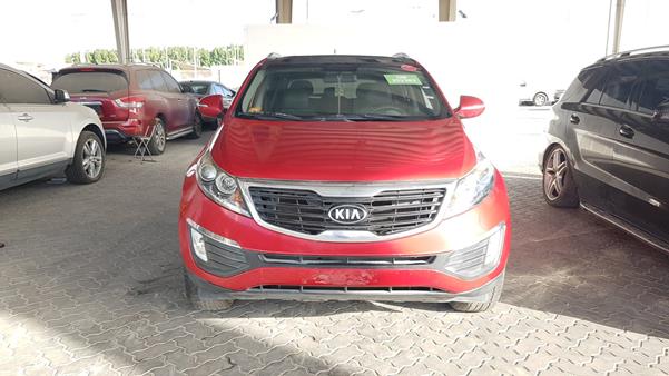 kia sportage 2013 knapc8123d7372169