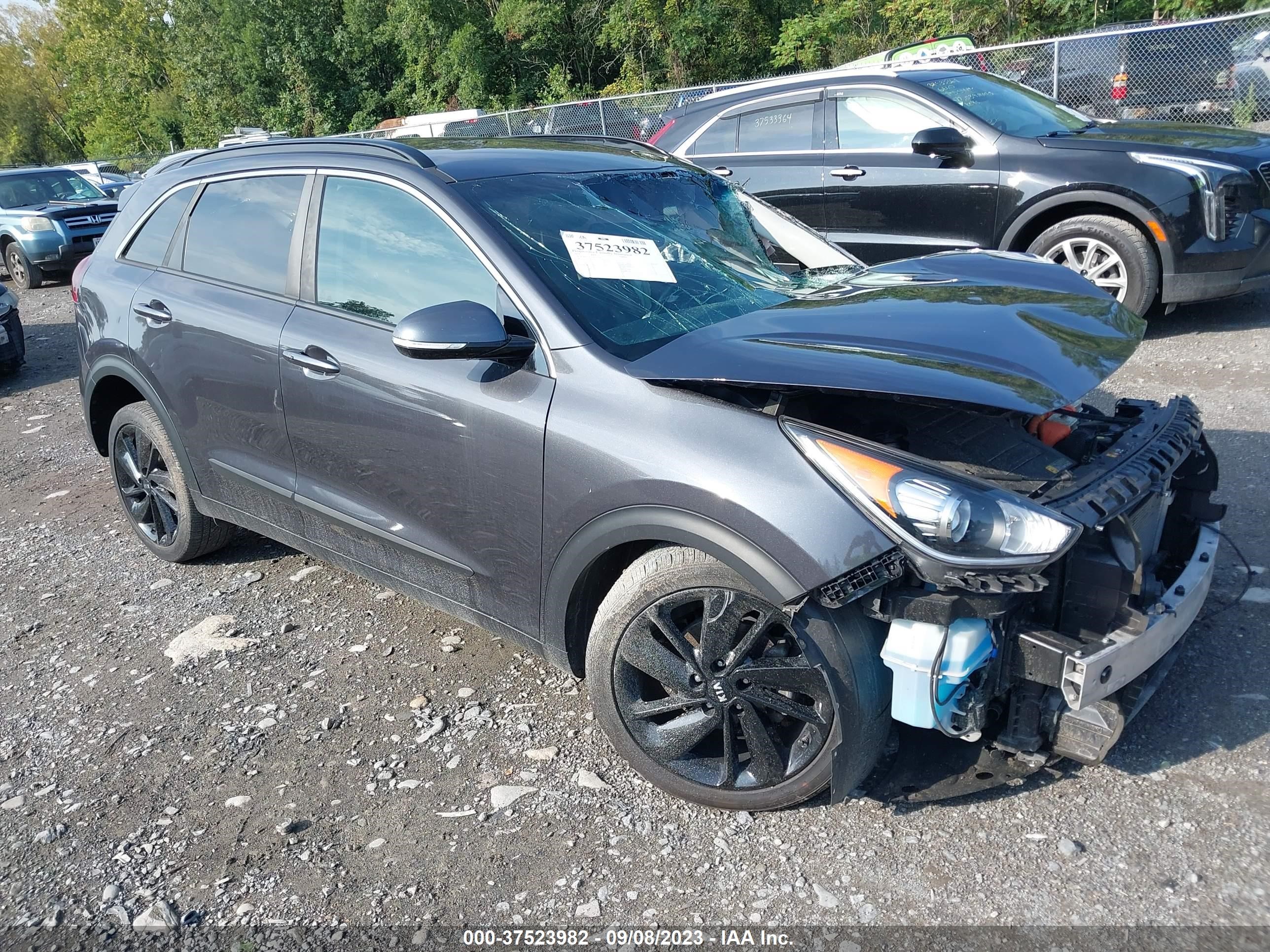 kia niro 2019 kndcc3lc1k5262417