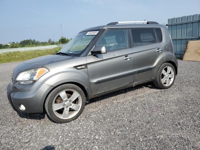 kia soul 2011 kndjt2a22b7203344