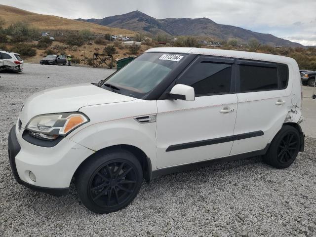 kia soul + 2011 kndjt2a22b7281381