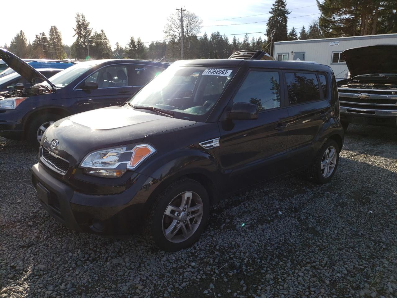 kia soul 2011 kndjt2a23b7238636