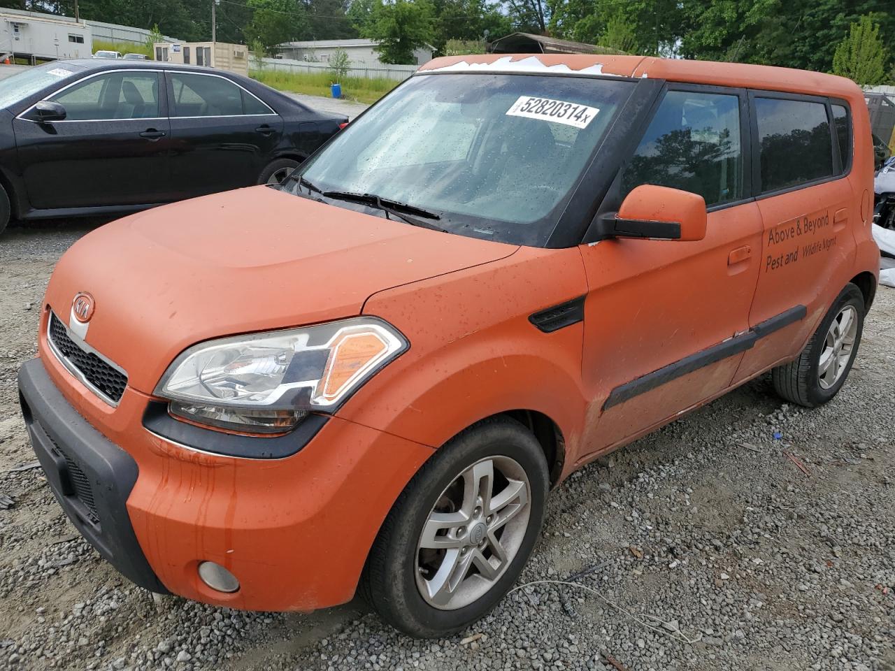 kia soul 2010 kndjt2a28a7704172