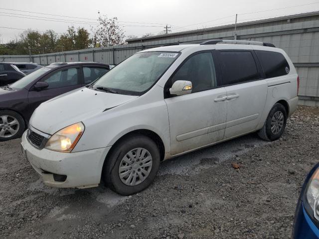 kia sedona lx 2011 kndmg4c78b6413703