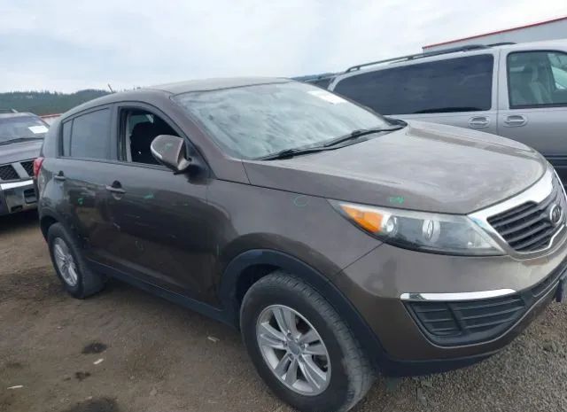 kia sportage 2011 kndpb3a25b7020748