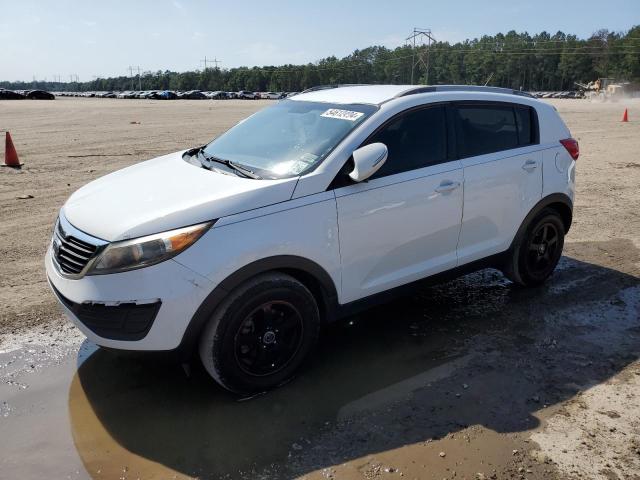 kia sportage 2011 kndpb3a25b7066659