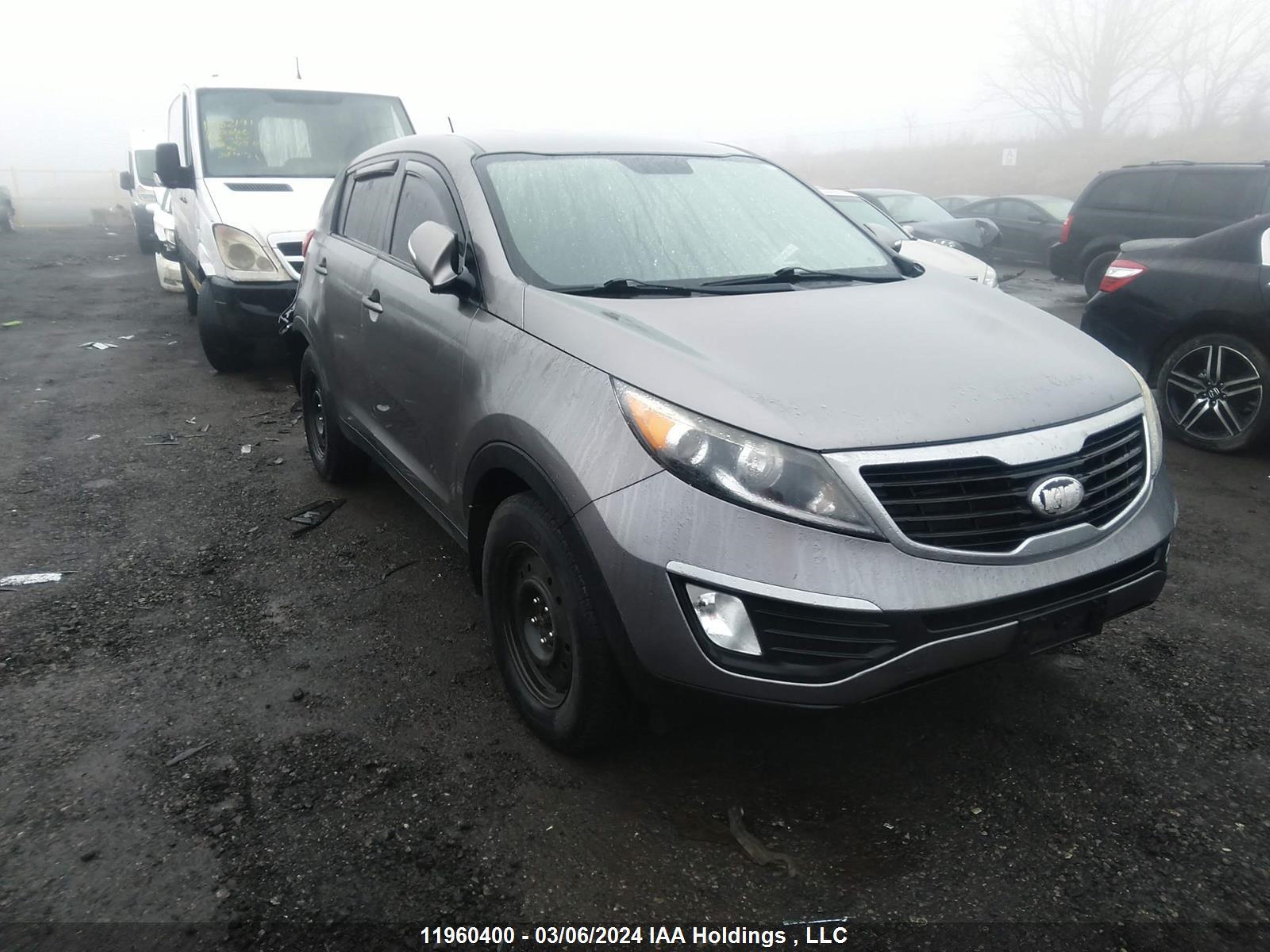 kia sportage 2013 kndpb3a26d7401933