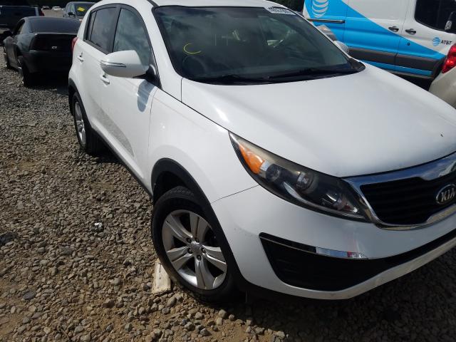 kia sportage b 2013 kndpb3a28d7420726