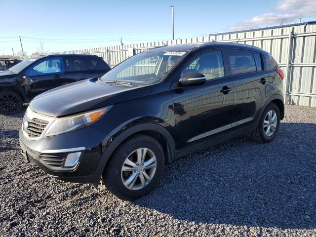 kia sportage b 2013 kndpb3a28d7531390