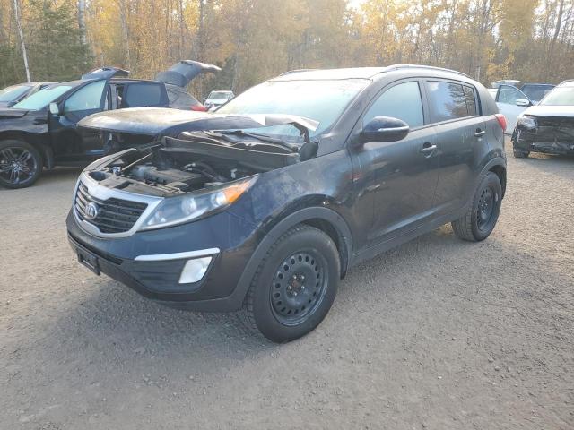 kia sportage b 2013 kndpb3a29d7521791