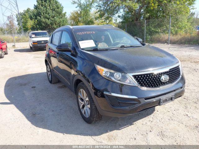 kia sportage 2016 kndpb3ac5g7811541