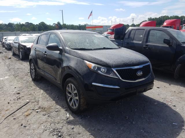 kia sportage b 2014 kndpb3ac6e7554533