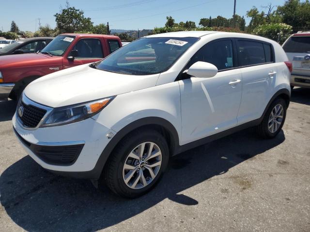 kia sportage 2014 kndpb3ac7e7563984