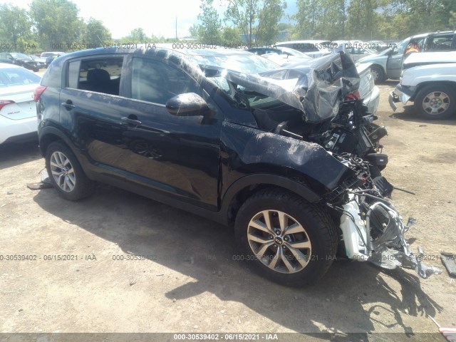 kia sportage 2015 kndpb3ac8f7704384