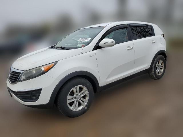 kia sportage 2011 kndpbca20b7131613