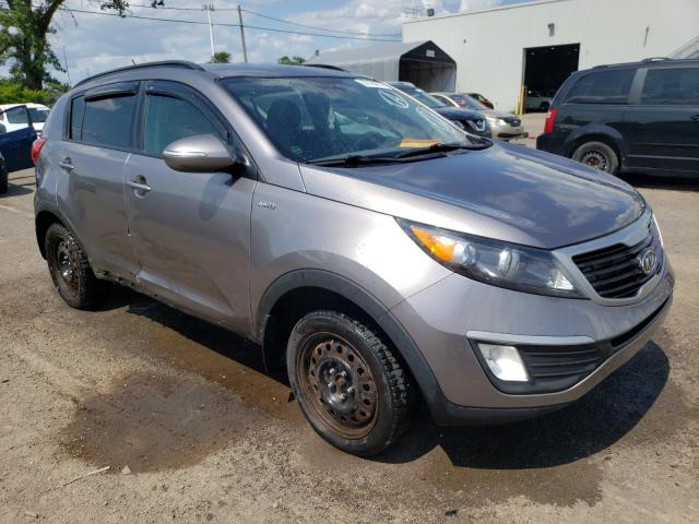 kia sportage l 2011 kndpbca21b7135170