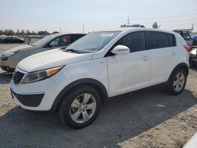 kia sportage l 2013 kndpbca29d7412778