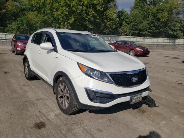 kia sportage l 2016 kndpbcac1g7810368