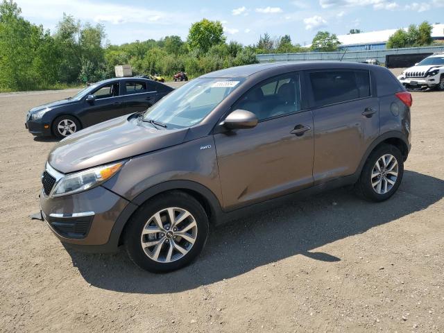 kia sportage 2014 kndpbcac2e7599338