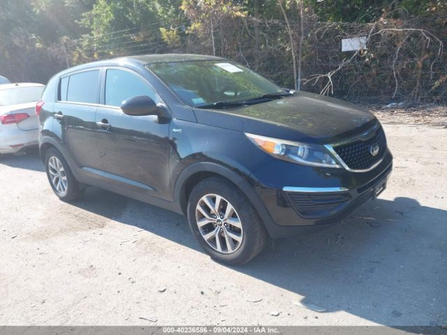 kia sportage 2016 kndpbcac7g7857551