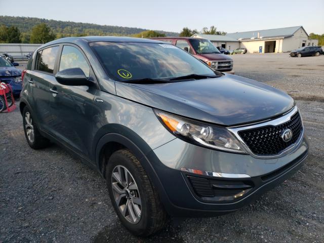 kia sportage l 2014 kndpbcac9e7595464