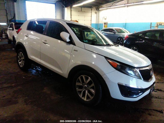 kia sportage 2016 kndpbcacxg7876708