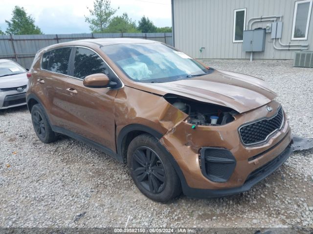 kia sportage 2019 kndpm3ac2k7552462