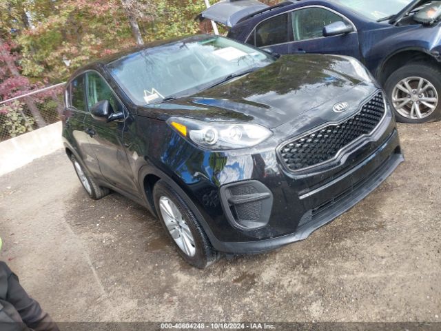 kia sportage 2019 kndpm3ac5k7513879