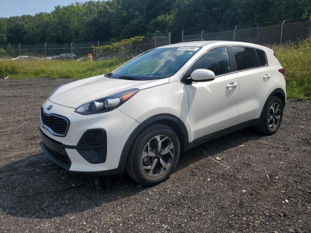 kia sportage l 2021 kndpm3ac8m7934174