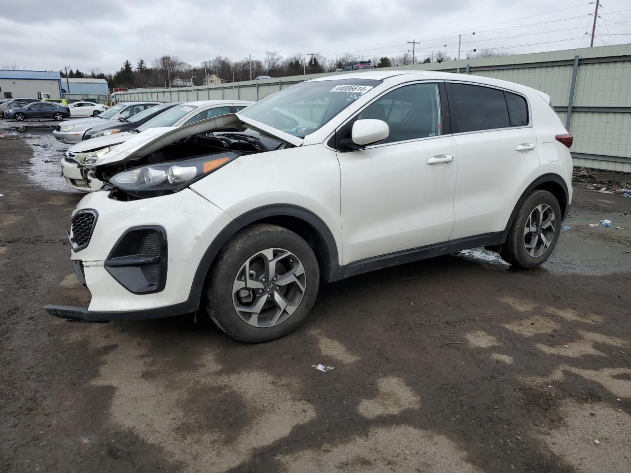 kia sportage 2022 kndpm3acxn7983457