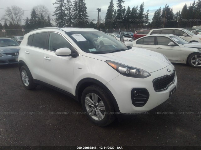 kia sportage 2019 kndpmcac1k7549570