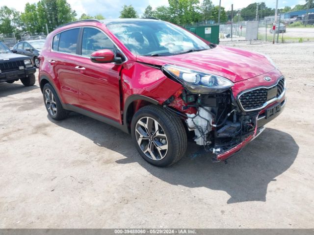 kia sportage 2022 kndpncac5n7008622