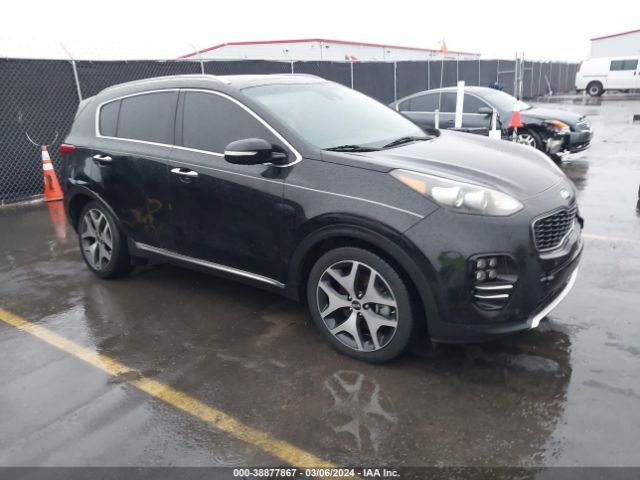 kia sportage 2017 kndpr3a6xh7049301