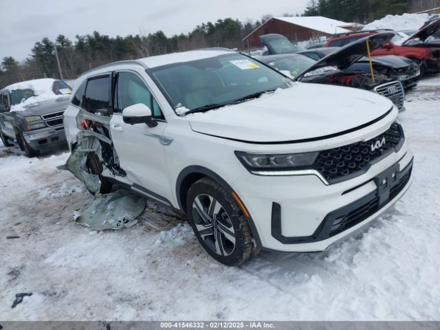 kia sorento 2024 kndrkdlg5r5246902