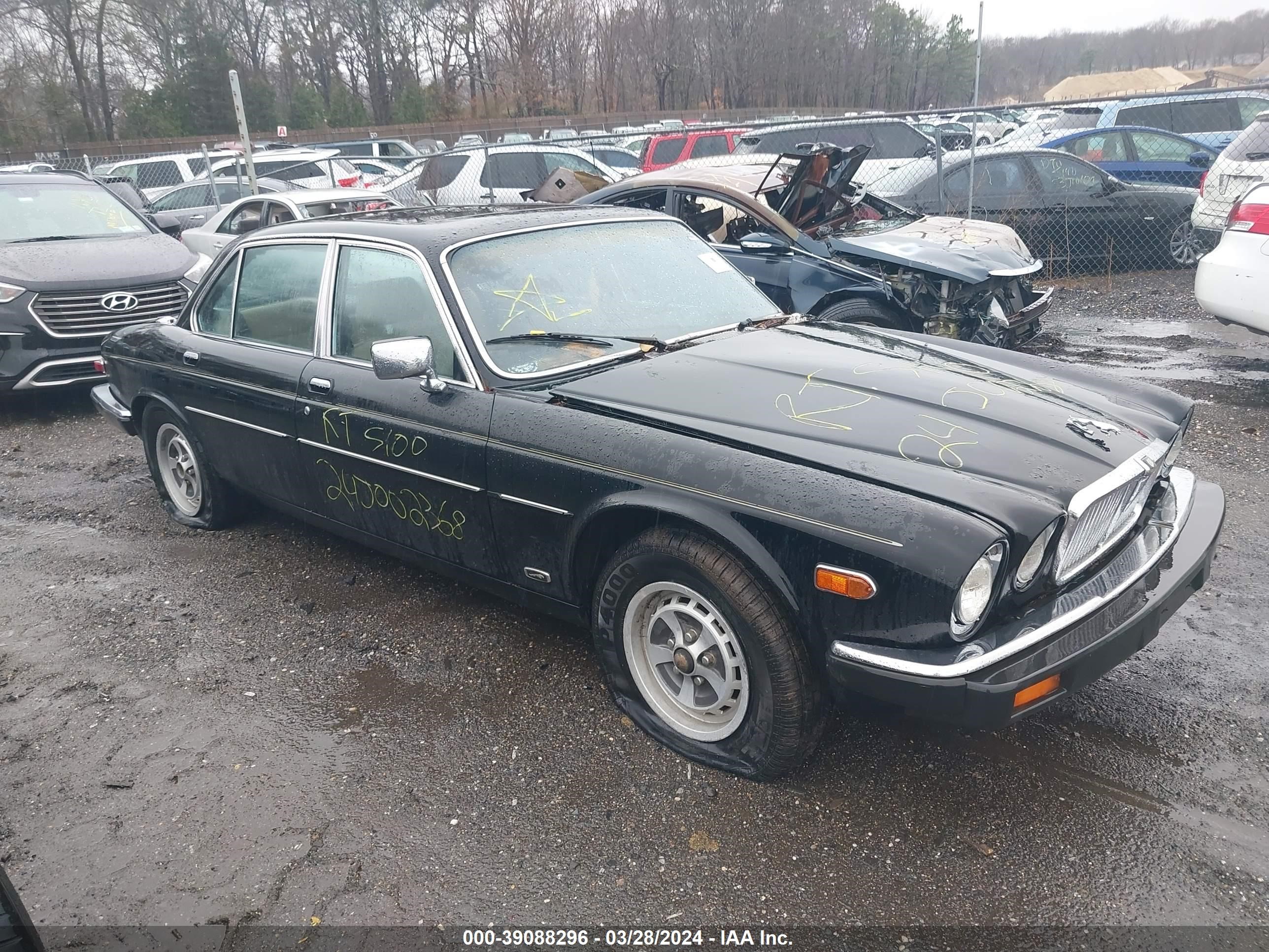 jaguar xj 1985 sajav1346fc412832