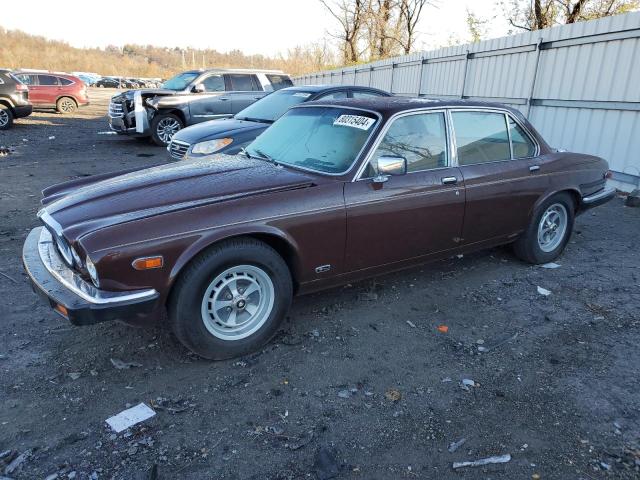 jaguar xj6 1984 sajav1347ec378740