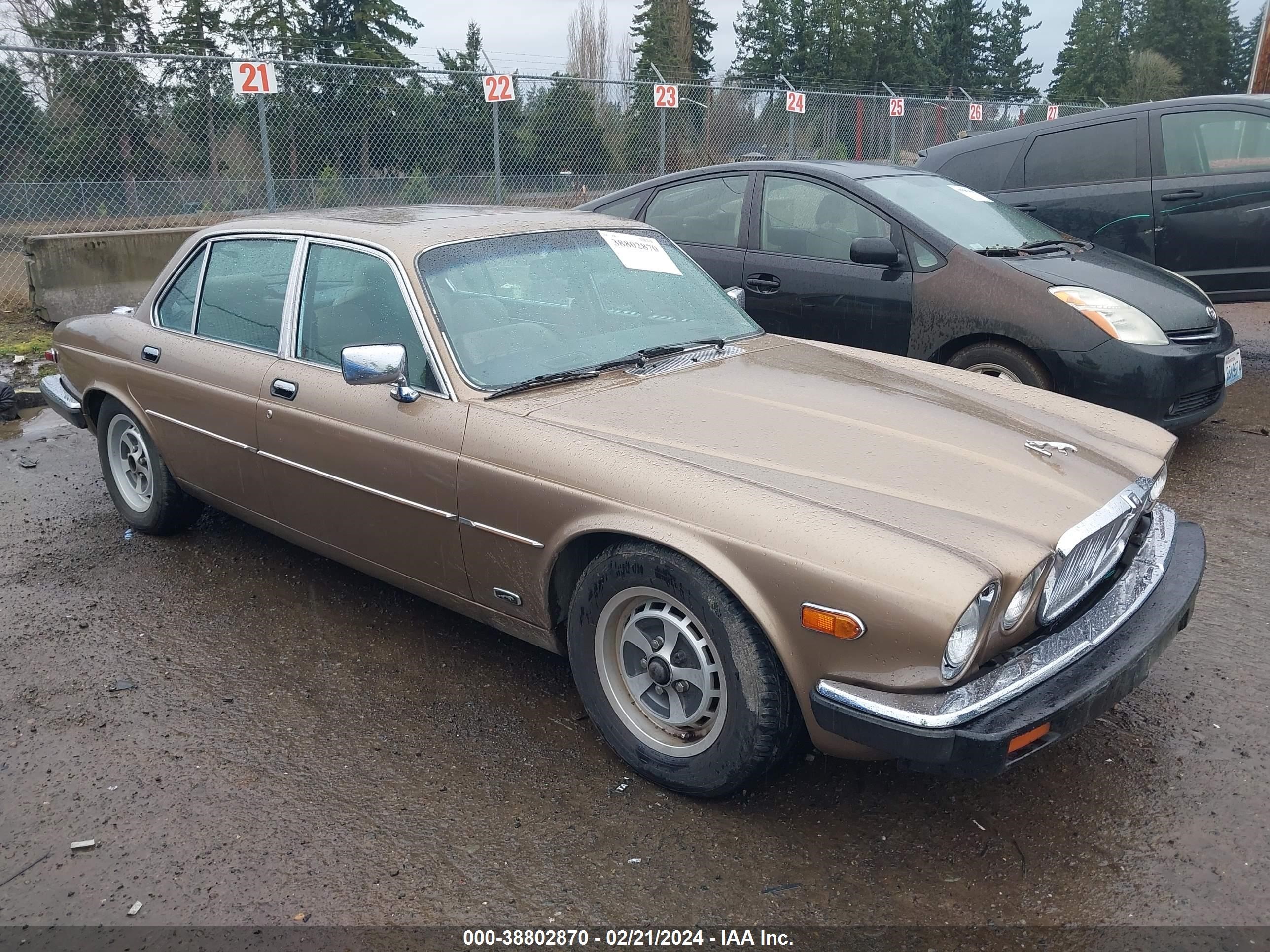 jaguar xj 1987 sajay1340hc470574