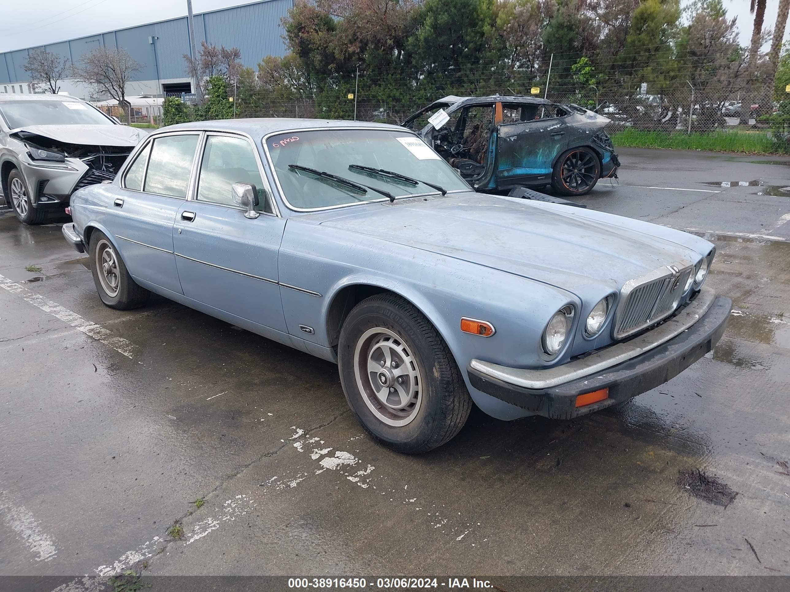 jaguar xj 1985 sajay1341fc418643