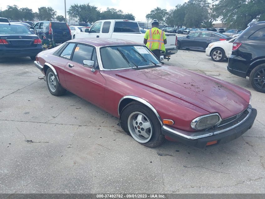 jaguar xjs 1988 sajnl5846jc147443