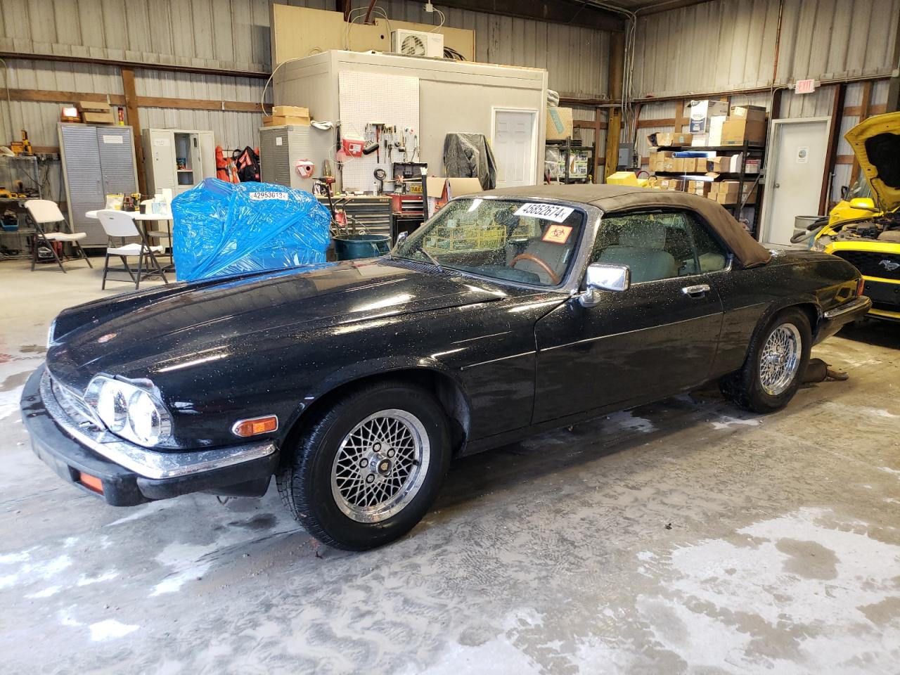 jaguar xjs 1989 sajnv4843kc161953