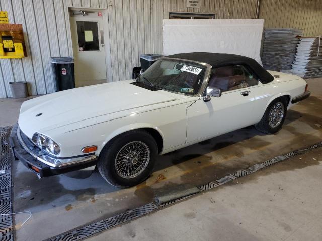 jaguar xjs 1989 sajnv4846kc158092