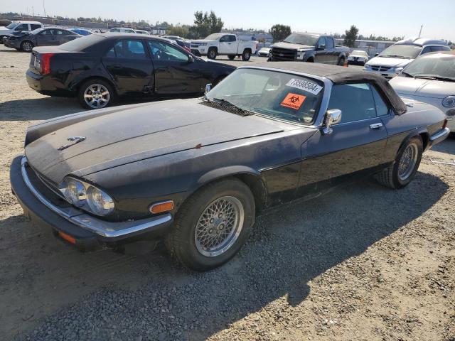 jaguar xjs 1989 sajnv4846kc164457