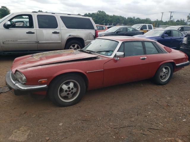 jaguar xjs 1985 sajnv5842fc123545