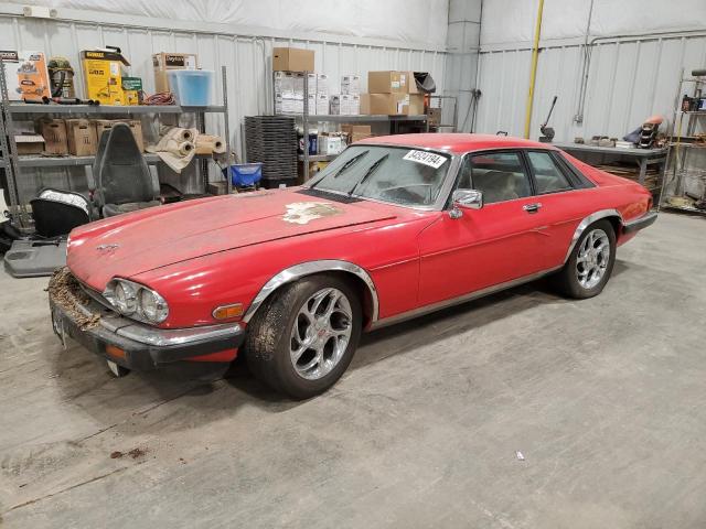 jaguar xjs 1985 sajnv5843fc122582