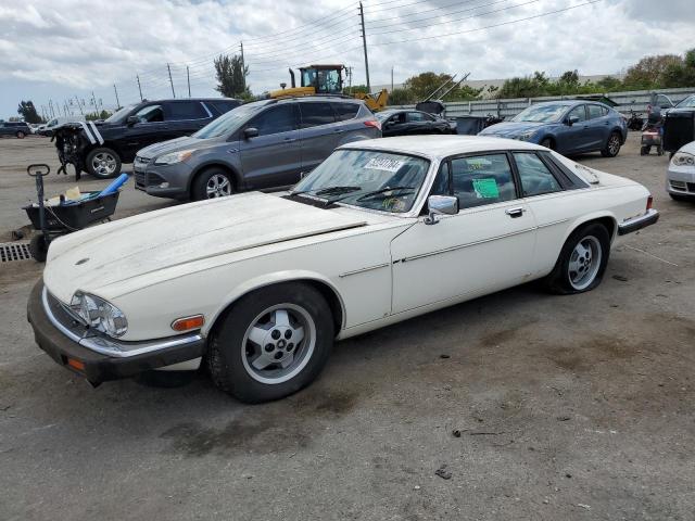 jaguar xj 1986 sajnv5844gc133124