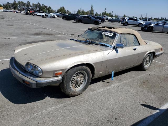 jaguar xjs 1988 sajnv5845jc144625