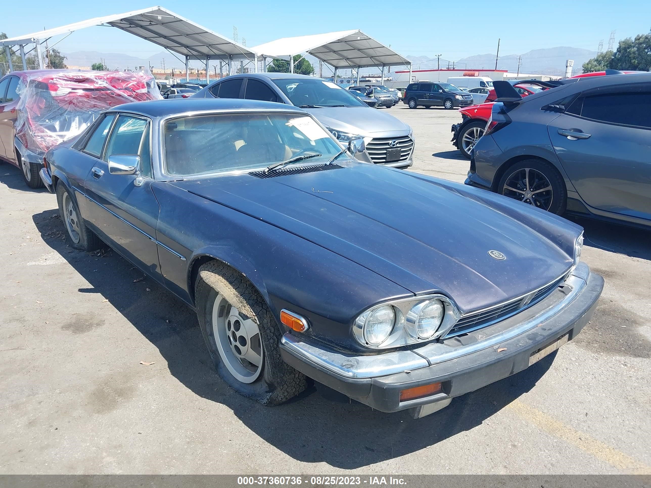 jaguar xjs 1986 sajnv5848gc130744