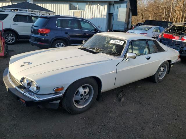 jaguar xjs 1982 sajnv584xcc106410