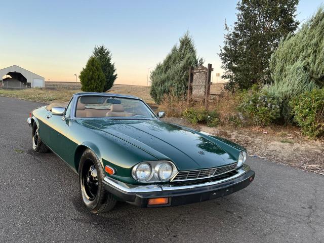 jaguar xjs 1987 sajnv584xhc136093