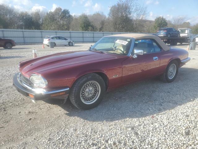 jaguar xjs 1993 sajnw4748pc187387