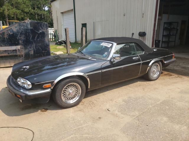 jaguar xjs 1990 sajnw4843lc169548